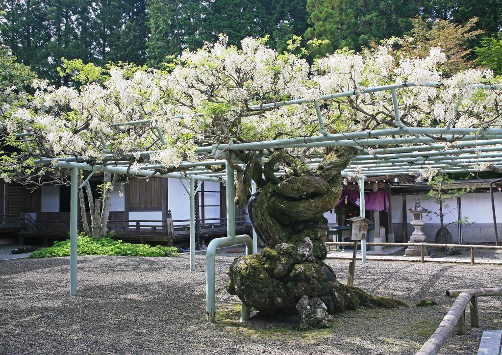 Sojiin Hotel Monte Koya Exterior foto